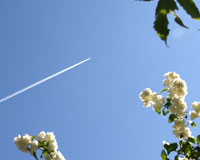 sommer09.jpg